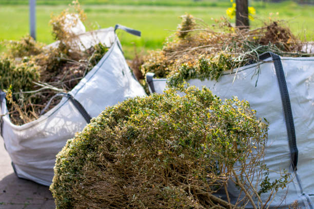 Best Yard Waste Removal  in Aurora, IL